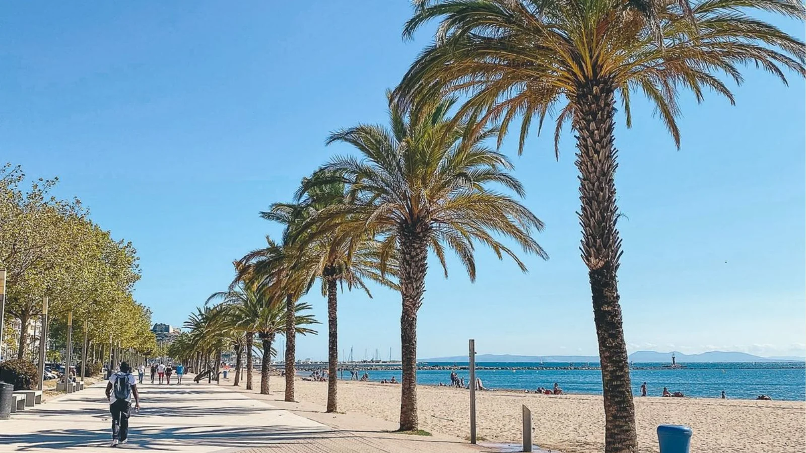 Promenade de Rosas bordée de palmiers et plage de sable fin